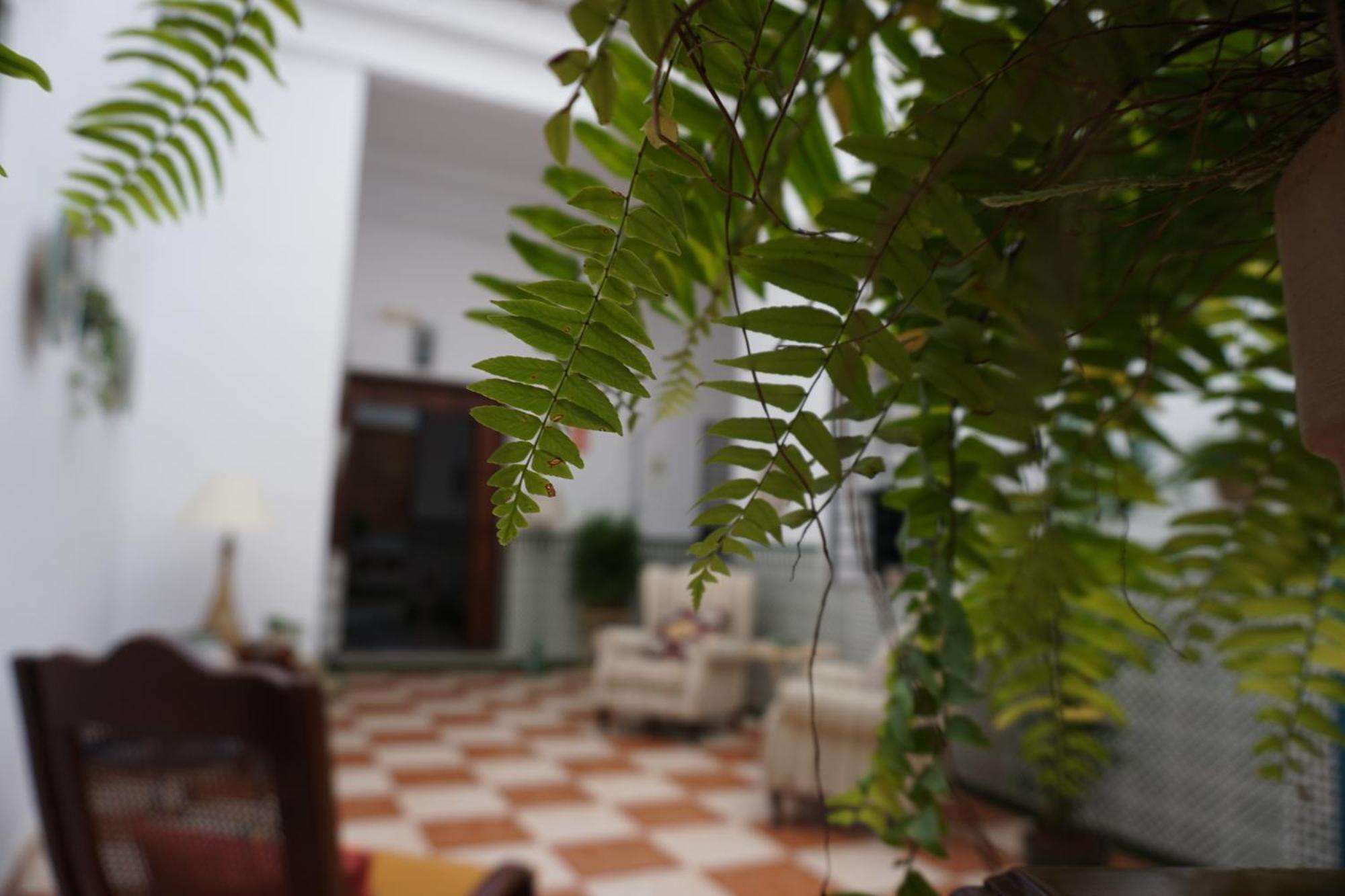 Montserrat Casa Del Mar Chipiona Dış mekan fotoğraf