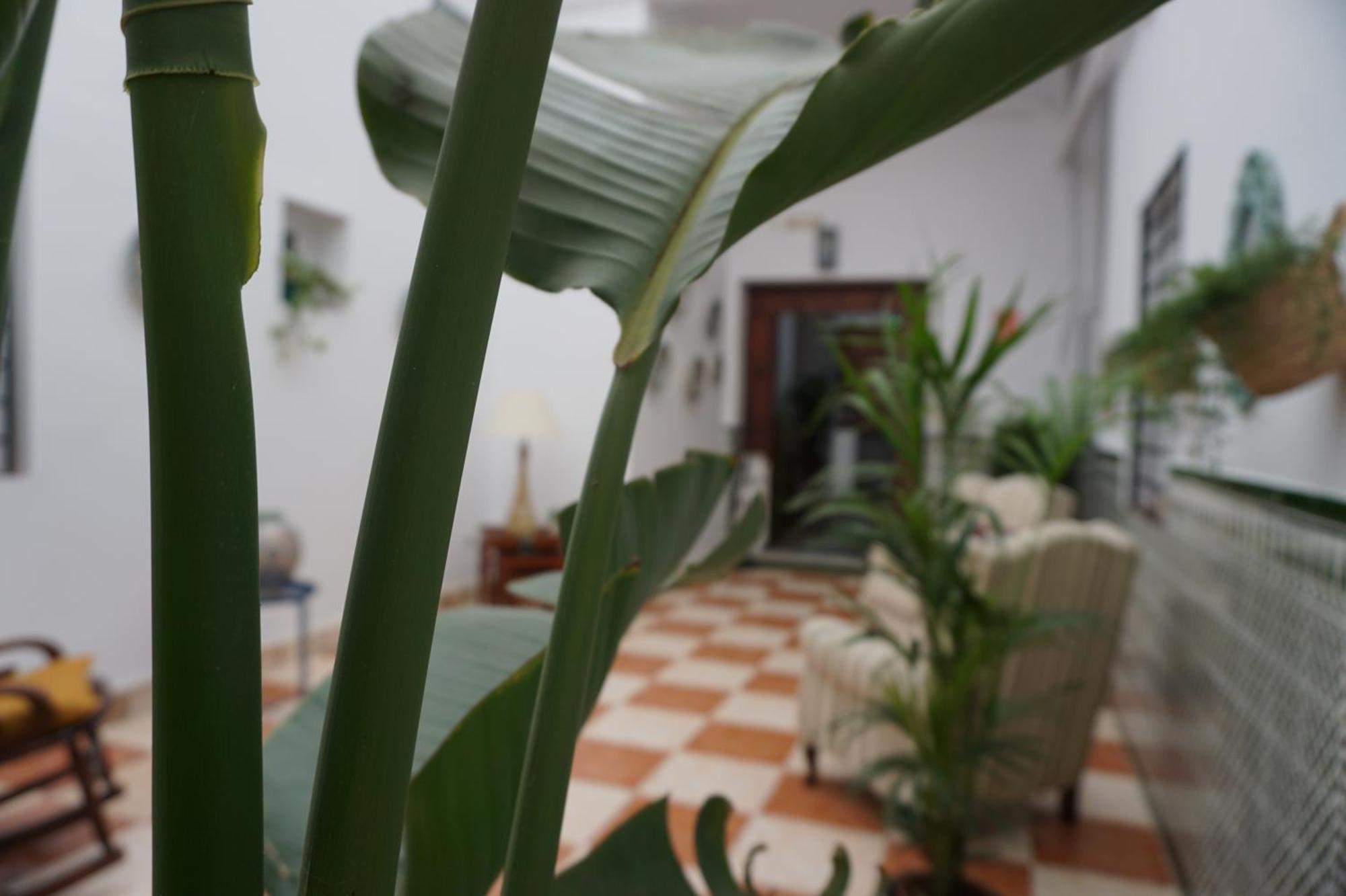 Montserrat Casa Del Mar Chipiona Dış mekan fotoğraf