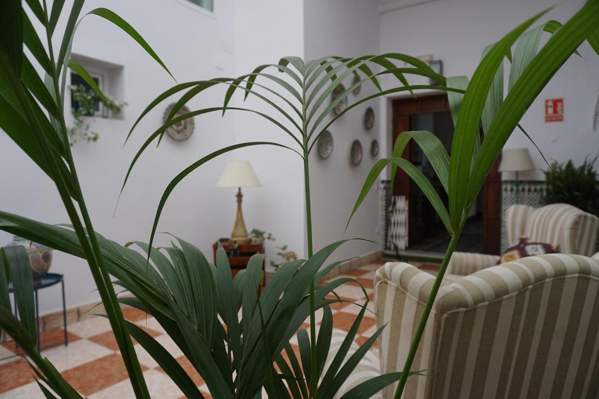 Montserrat Casa Del Mar Chipiona Dış mekan fotoğraf